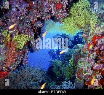 Eine Höhle auf Kuredu Island auf den Malediven, Malediven tauchen Stockfoto