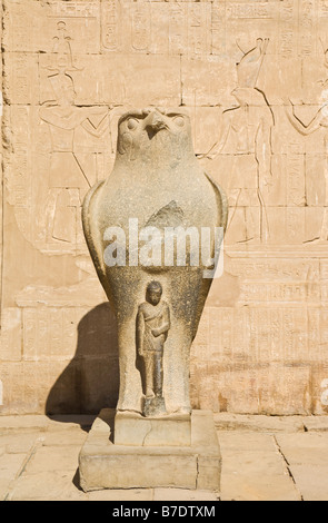 Eine Statue des Horus-Falken außerhalb der Sandstein-Tempel des Horus in Edfu Ägypten Nahost Stockfoto