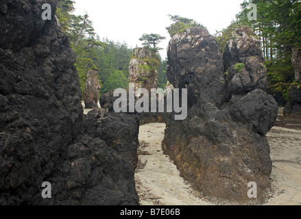 horizontal'BRITISH COLUMBIA - Meer-Stacks am Strand von San Josef Bay in Cape Scott Provincial Park, nördlichen Spitze von Vancouver Island. Stockfoto