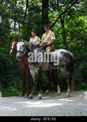 inländische Pferd (Equus Przewalskii F. Caballus), Polizisten auf dem Pferderücken in der englische Garten, Deutschland, Bayern, München Stockfoto