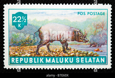 Wildschwein (Sus Scrofa), Briefmarke, Maluku Selatan, Malaysia Stockfoto