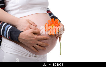 Unterstützung der Hände. 33 Wochen schwanger Bauch halten Eltern Hände. Isoliert auf weiss Stockfoto