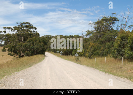 Ein Kies-Straße-Kurven in die Ferne durch eine Reihe von australischen einheimischen Bäumen mit Paddocks auf beiden Seiten blockiert. Stockfoto