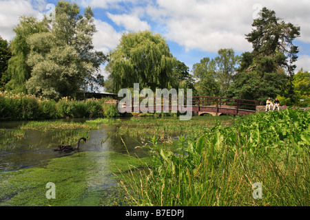 Hölzerne Fußgängerbrücke über den Fluß Coln in Bibury Dorf Cotswolds England Stockfoto