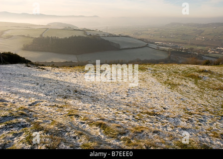 Frostbedecktes Feld (UK-Wetter) Stockfoto