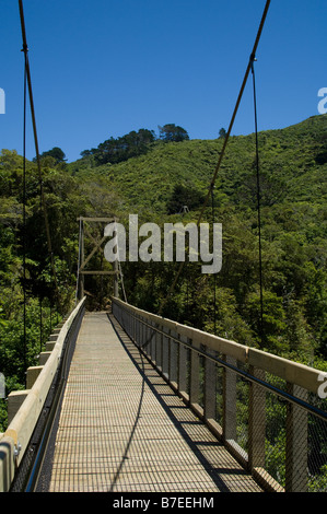 Karori Wildlife Sanctuary, Wellington, Neuseeland Stockfoto