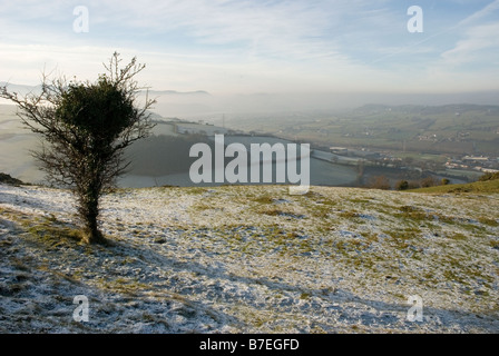 Frostbedecktes Feld (UK-Wetter) Stockfoto