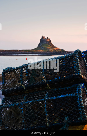 Hummer-Töpfe auf Holy Island Stockfoto