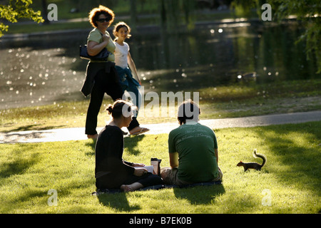 Menschen & Eichhörnchen, Boston Common, Boston, Massachusetts, USA Stockfoto