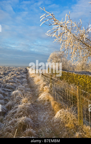 Starkem Frost am frühen Morgen in der Nähe von Hathersage Derbyshire Peak District Nationalpark Derbyshire England UK GB EU Europa Stockfoto