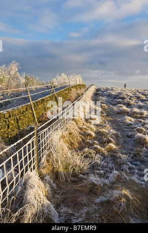 Starkem Frost am frühen Morgen in der Nähe von Hathersage Derbyshire Peak District Nationalpark Derbyshire England UK GB EU Europa Stockfoto