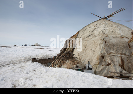 Yupic Zelt und Rentier Skins, befindet sich Kanchalan in der autonomen Region Chukot, Sibirien-Russland Stockfoto