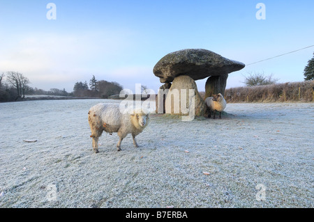 Jungfern-Rock ist die Überreste einer alten neolithische Grabkammer auf Dartmoor-Nationalpark an einem frostigen Morgen mit Schafen Stockfoto