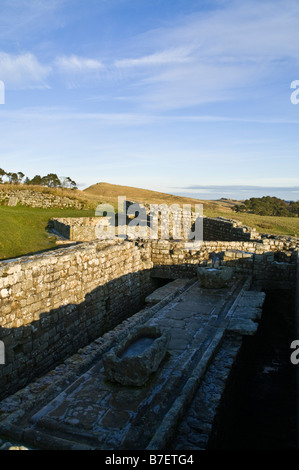 dh Housesteads HADRIANS WALL NORTHUMBRIA Vercovicivm Roman fort Badezimmer Northumberland National Park Toiletten unesco-Welterbestätten Stockfoto