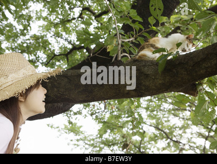 Eine Frau betrachtet man die Katze auf einem Baum Stockfoto