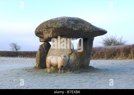 Jungfern-Rock ist die Überreste einer alten neolithische Grabkammer auf Dartmoor-Nationalpark an einem frostigen Morgen mit Schafen Stockfoto