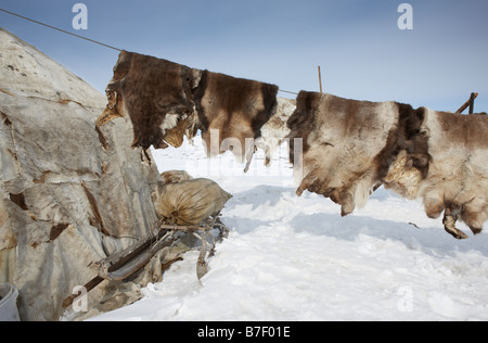 Yupic Zelt und Rentier Skins, befindet sich Kanchalan in der autonomen Region Chukot, Sibirien-Russland Stockfoto