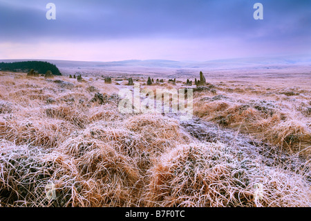 Blick in Richtung Scorhill Steinkreis auf Dartmoor-Nationalpark an einem frostigen Morgen Stockfoto