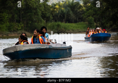 Touristen in Booten auf dem Kinabatangan Fluss in Malaysia Borneo Stockfoto