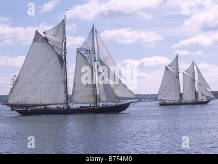 Schoner Bluenose II und Highlander Meer unter vollen Segeln in Halifax, Nova Scotia, Kanada Stockfoto