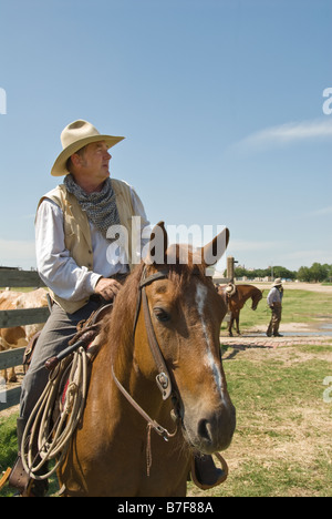 Texas Fort Worth Stockyards National Historic District Cowboy auf Pferd Stockfoto