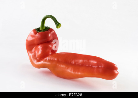 Roten süßen spitz Pfeffer auf weißem Hintergrund Stockfoto