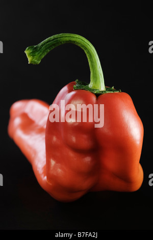 Roten süßen spitz Pfeffer auf schwarzem Hintergrund Stockfoto