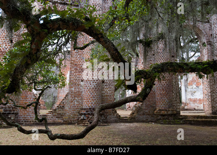 Die Ruinen der alten Sheldon Prinz William Parish Church in South Carolina. Stockfoto