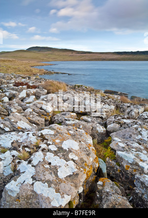 Die gebrochenen Felsen ein Kalkstein Pflaster am Ufer des Broomlee Lough im Northumberland National Park, England Stockfoto