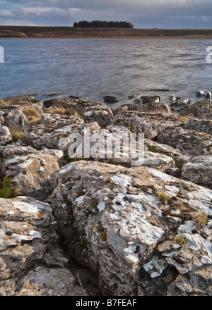 Die gebrochenen Felsen ein Kalkstein Pflaster am Ufer des Broomlee Lough im Northumberland National Park, England Stockfoto