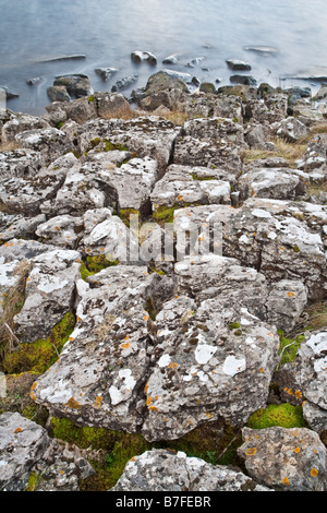 Die gebrochenen Felsen ein Kalkstein Pflaster am Ufer des Broomlee Lough im Northumberland National Park, England Stockfoto