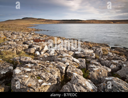 Die gebrochenen Felsen ein Kalkstein Pflaster am Ufer des Broomlee Lough im Northumberland National Park, England Stockfoto