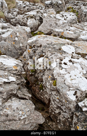 Die gebrochenen Felsen ein Kalkstein Pflaster am Ufer des Broomlee Lough im Northumberland National Park, England Stockfoto