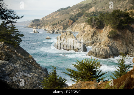 Pazifikküste, Julia Pfeiffer Burns State Park Stockfoto