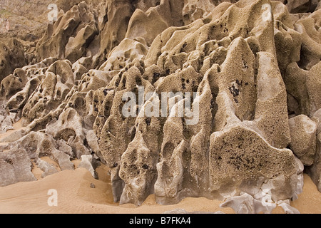Karbon Kalkstein - Mewslade Bay 3 Stockfoto