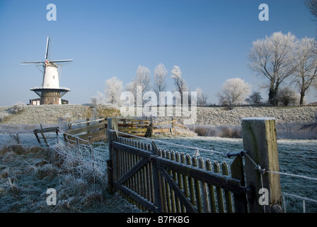 Winterlandschaft in der Nähe der Ortschaft Veere, Walcheren. Provinz Zeeland, Holland Stockfoto