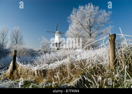 Rime auf den Bäumen rund um die Mühle des Dorfes von Veere, Walcheren. Provinz Zeeland, Holland Stockfoto