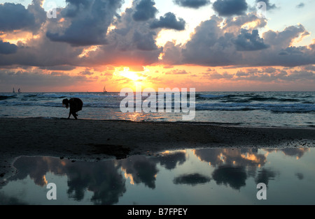 Frau zu Fuß zu Fuß Spaziergang sammeln sammeln Muscheln auf den Strand Herzliya Pituah tel Aviv Israel Sonnenuntergang herrlich mediterranen Stockfoto