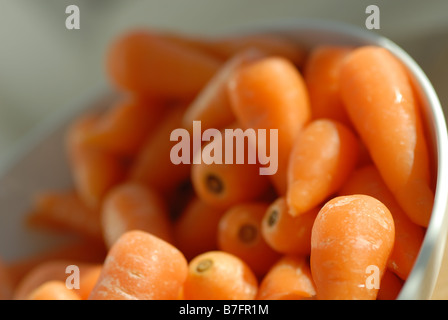 Chantenay Möhren in Nahaufnahme Stockfoto