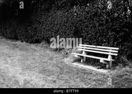 Parkbank neben Hecke Stockfoto