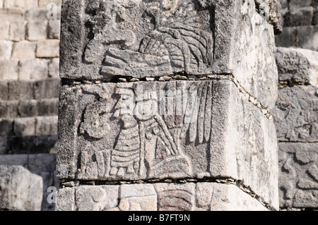 Steinmauer Schnitzen von Maya-Krieger, Chichen Itza, Mexiko Stockfoto