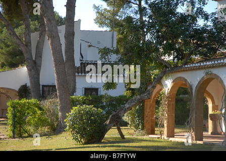 Baum auf Haus geblasen, während Hurrikan im Jan. 2009, Javea, Provinz Alicante, Comunidad Valenciana, Spanien Stockfoto