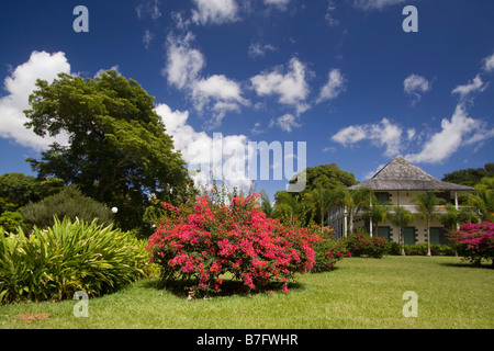 Sir Seewoosagur Ramgoolam königliche Botanische Garten von Pamplemousses Mauritius Afrika Stockfoto