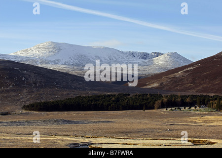 Schnee auf dem Berg Lochnagar in der Cairngorm National Park, Schottland, UK, im winter Stockfoto