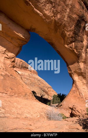 Partition Arch entlang der Devils Garden Trail in Arches National Park in Utah Stockfoto