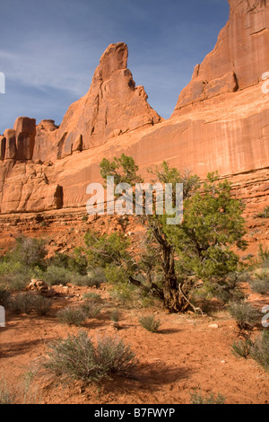 Gerichtsgebäude Türmen oben Park Avenue in Arches National Park in Utah Stockfoto