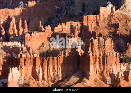 Abendlicht auf die Hoodoos rund um die Kathedrale in Bryce Amphitheater aus Sunset Point Bryce Canyon National Park in Utah Stockfoto