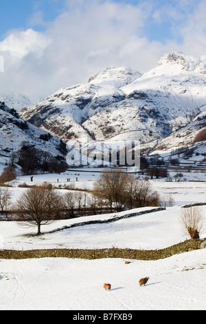 Die Langdael Hechte im Langdale Tal in den Lake District National Park Cumbria UK im Winterschnee Stockfoto