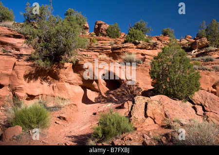 Rock auf dem Lower Calf Creek Falls Trail im Grand Staircase Escalante Utah Stockfoto