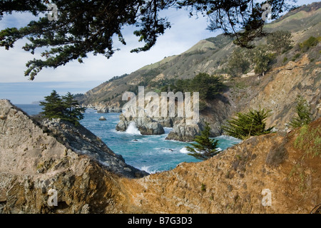 Pazifikküste, Julia Pfeiffer Burns State Park Stockfoto